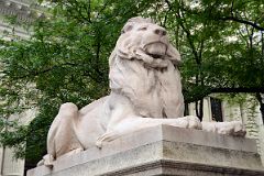 02-2 Fortitude Stone Lion Sculpted By Edward Clark Potter Guard The Entrance To New York City Public Library Main Branch.jpg